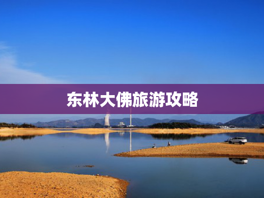 东林大佛旅游攻略