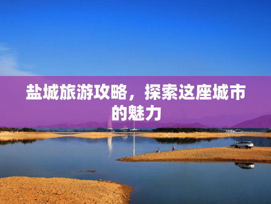 盐城旅游攻略，探索这座城市的魅力