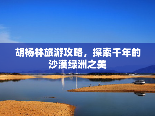 胡杨林旅游攻略，探索千年的沙漠绿洲之美