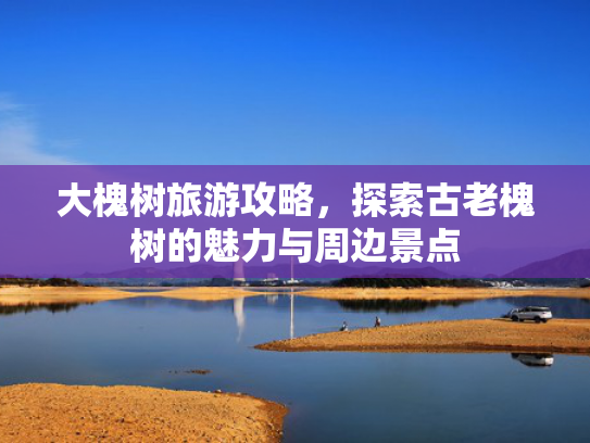 大槐树旅游攻略，探索古老槐树的魅力与周边景点