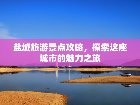 盐城旅游景点攻略，探索这座城市的魅力之旅